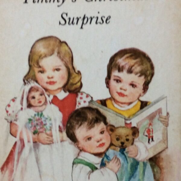 Timmy's Christmas Surprise