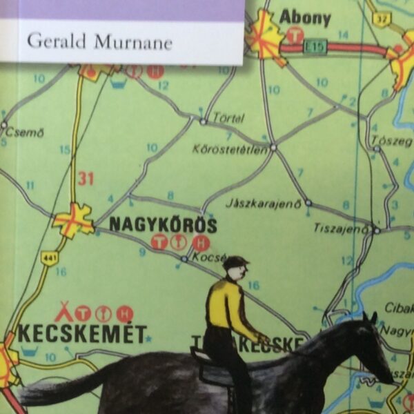 INVISIBLE YET ENDURING LILACS