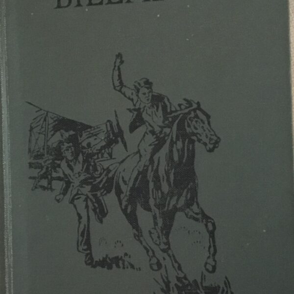 Wings-Above Billabong