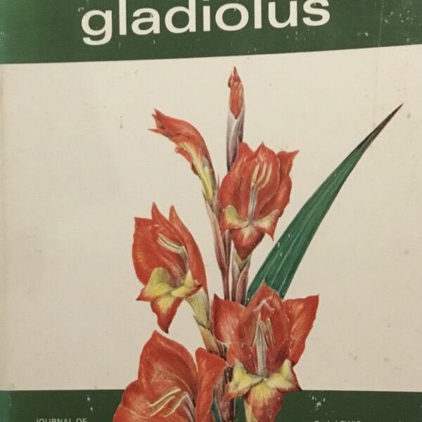Gladiolus. A revision of the South African species