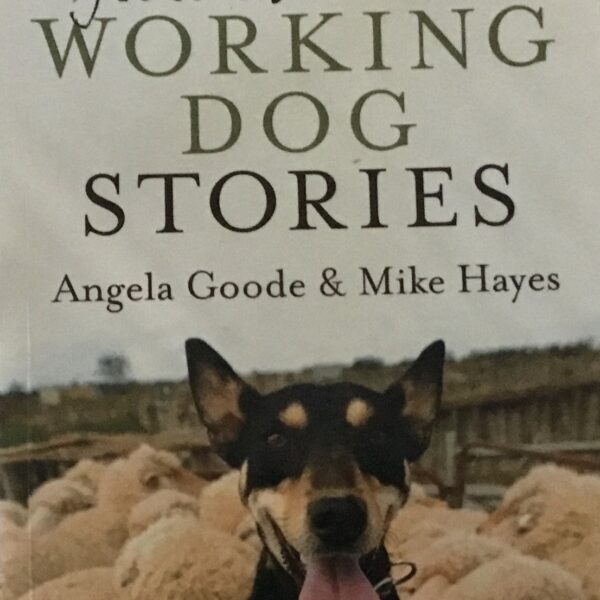 Working Dog Stories