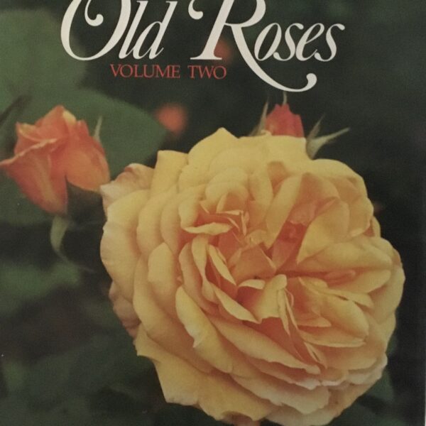 My World of Old Roses