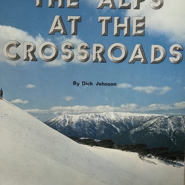 The Alps at the Crossroads