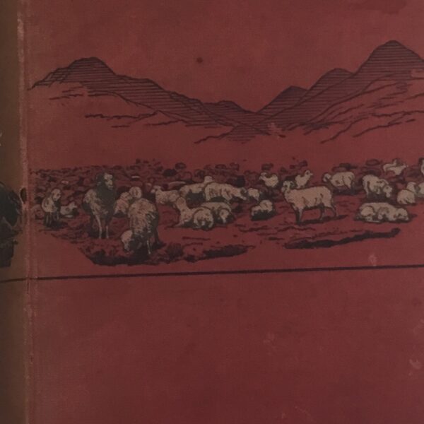 Romance of the WoolTrade