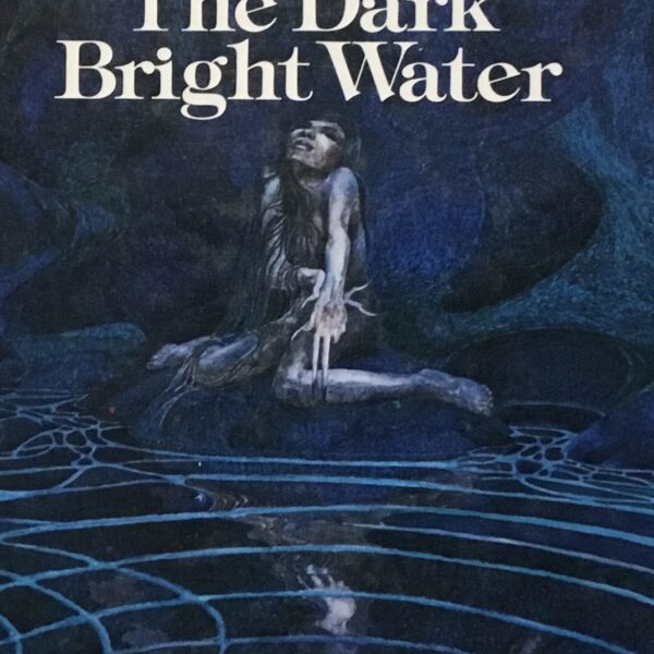 The Dark Bright Water
