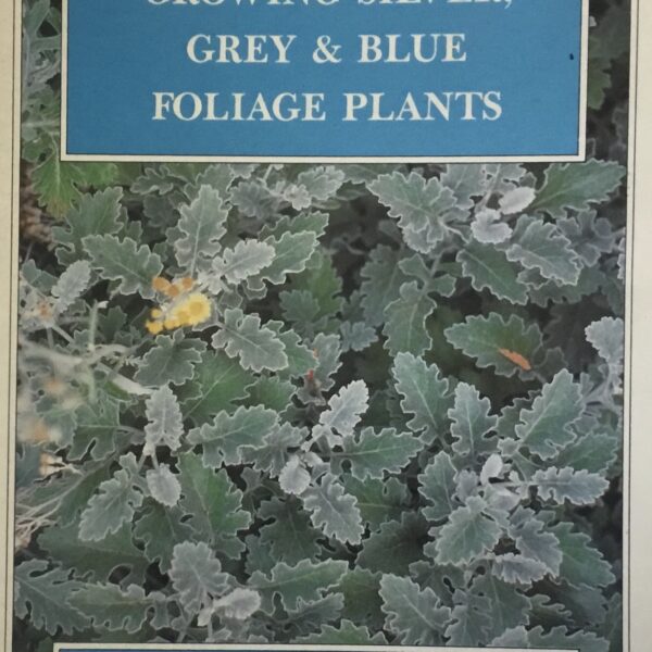 Growing Silver, Grey & Blue Foliage Plants