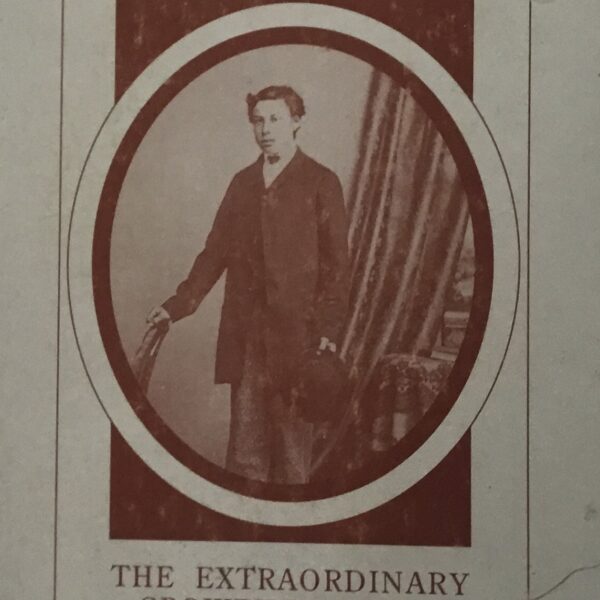 Herbert John. The Extraordinary Crowther Items