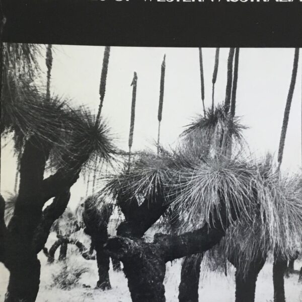 Grass Trees of Western Australia