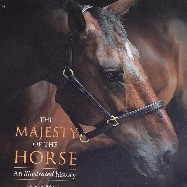 The Majesty of the Horse