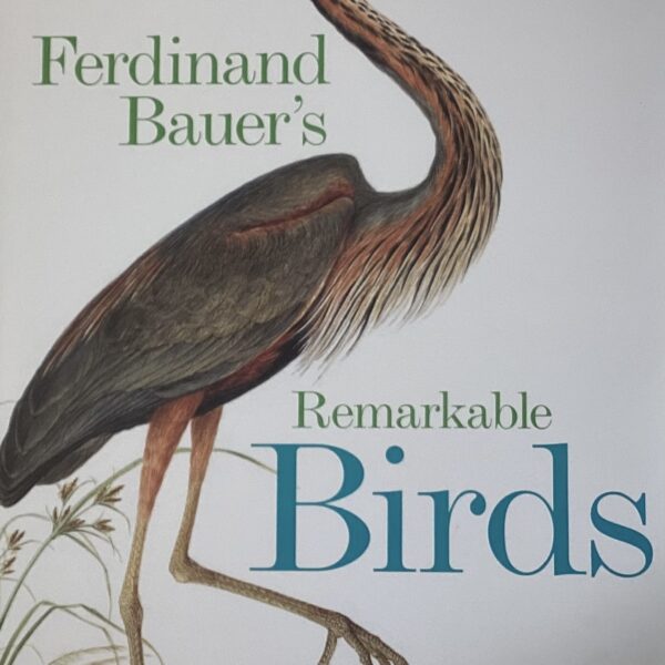 Ferdinand Bauer’s Remarkable Birds