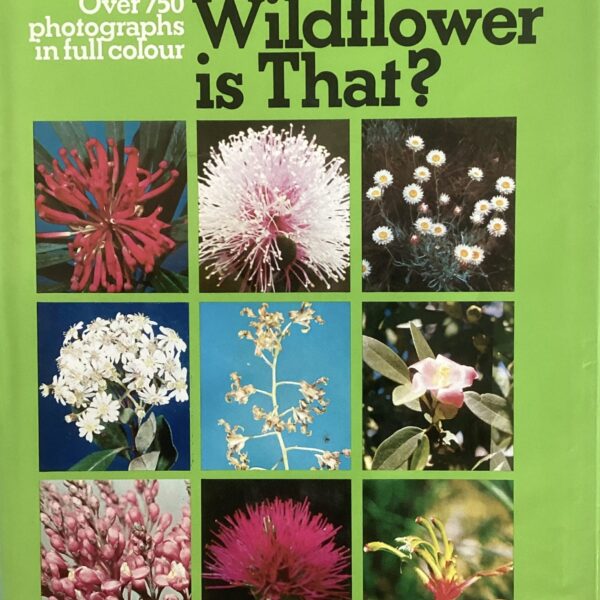 What Wildflower is That