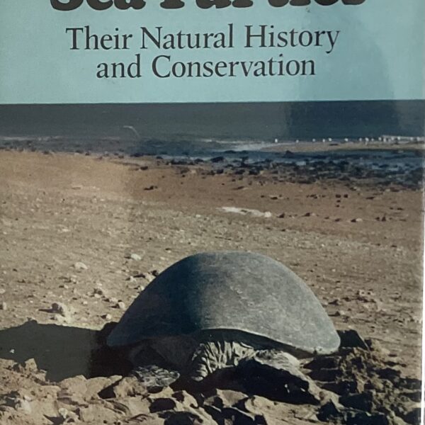 Australian Sea Turtles