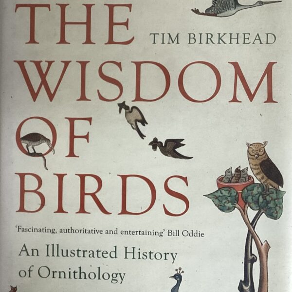 The Wisdom of Birds