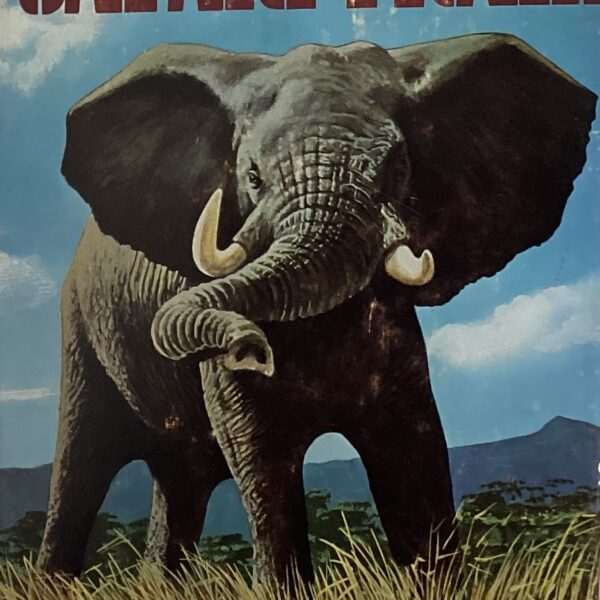Safari Trail