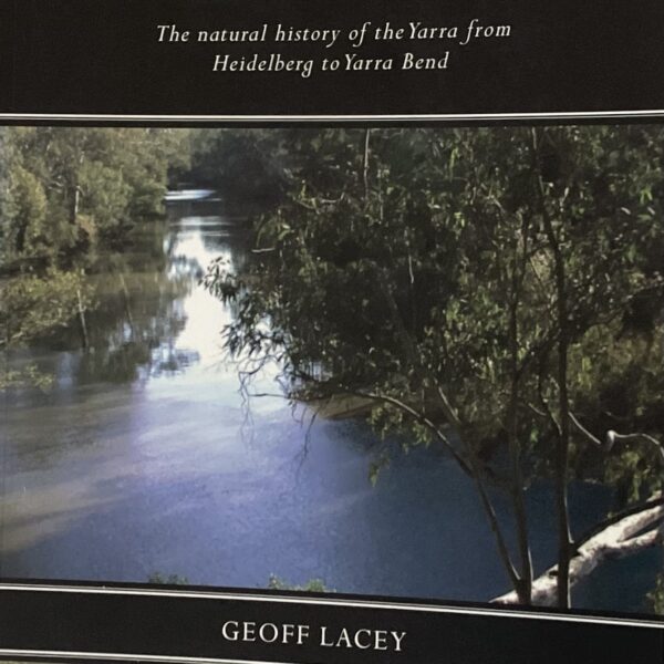 Still Glides the Stream